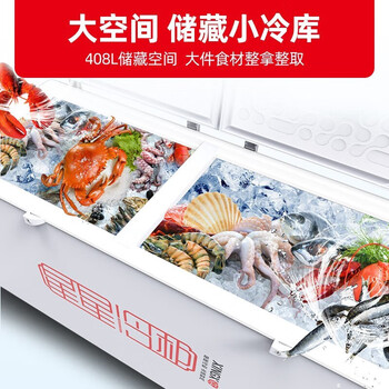星星商用冷柜卧式大容量超低温零下-40度细胞级冷冻冷藏海鲜肉类冷冻柜 518ND丨低温-30℃丨一级能效