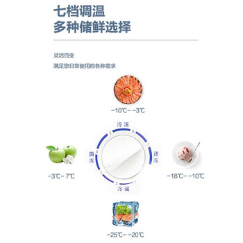 新飞冷柜.96升 卧式单温冷藏冷冻转换冰柜 迷你家用小冷柜 一级能效七档控温【企采购】