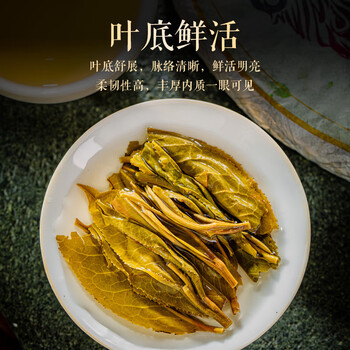 七彩雲南普洱茶 雀之韵 3年陈化普洱生茶七子饼357g 茶叶礼盒装