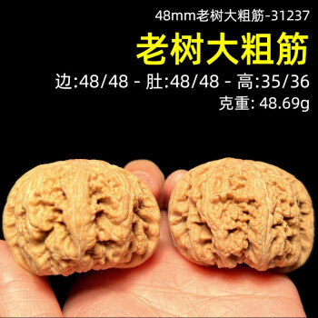 色々な 大粗筋狮子头价格报价行情- 京东 その他