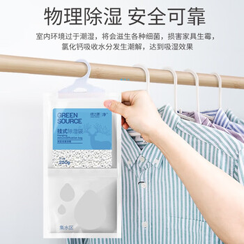 绿之源可挂式除湿袋大容量 衣柜宿舍床上被子除湿剂 250g*10袋装 Z-0555