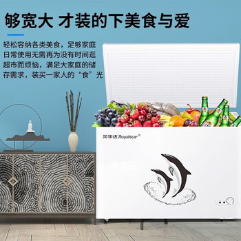 荣事达（Royalstar）冷柜.大容量全冷冻卧式冰柜家用冷藏冷冻两用冰柜冷冻柜 388升单温【企采购】
