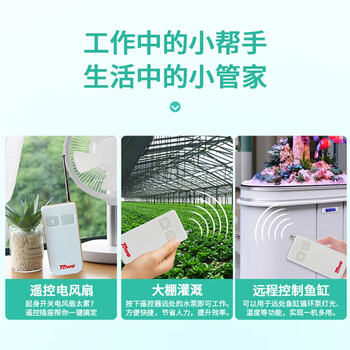 TOWE同为遥控插座 无线穿墙遥控开关插座多功能插头智能遥控插座家用AP-WS101 TOWE同为遥控插座 无线穿墙遥控开关插座多功能插头智能遥控插座家用AP-WS101