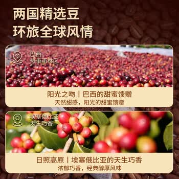 鹿家嘴LUJIAZUI IIAC金奖豆意式挂耳咖啡滤泡挂耳咖啡10g*20片