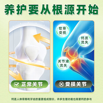 同仁堂（TRT）高钙黄瓜籽粉膳食纤维成人中老年早餐营养代餐冲泡即食600g