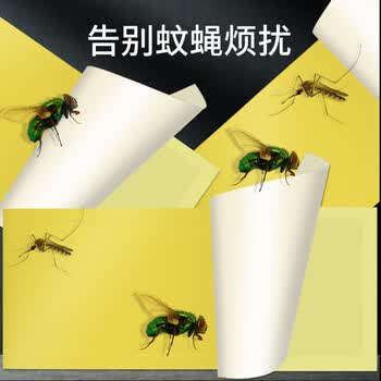 光多拉苍蝇贴灭蝇纸20张黄板诱虫板双面粘虫板果蝇诱捕器苍蝇神器灭蝇器