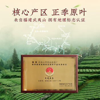 去寻乌龙茶福建武夷大红袍醇香型160g茶叶礼盒装端午父亲节送礼品礼盒