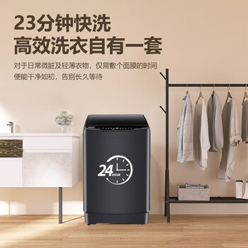 志高（CHIGO）波轮洗衣机 12KG大容量全自动毛毯洗 家用租房宿舍智能洗脱一体蓝光洗护 XQB120-118 