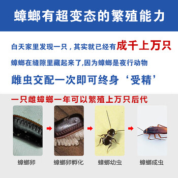 灭害灵杀蟑螂药 蟑螂胶饵全窝端 家用 饭店 驱蟑螂捕捉器 药粉贴10g