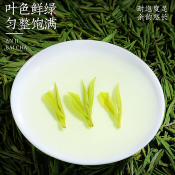 山水西湖绿茶安吉白茶特级250g2026新茶明前头采春茶叶礼盒端午父亲节送礼