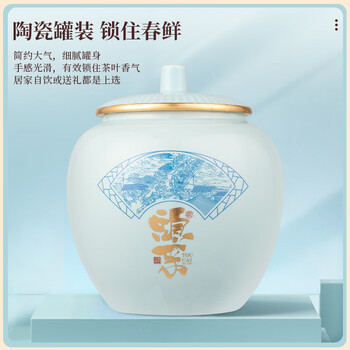 三隐茶叶乌龙茶 正宗安溪铁观音浓香型茶叶礼盒装500g年货送礼送长辈