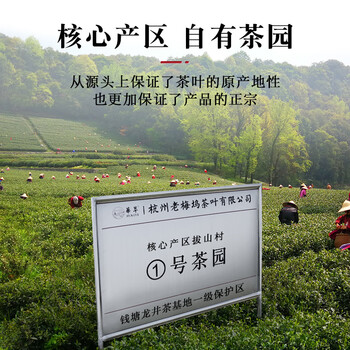 華萃明前特级龙井绿茶8A新茶茶叶礼盒装高端送礼人老丈人长辈领导老师