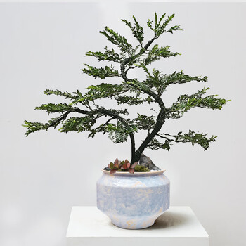 拍子木　紫檀　８寸　(24cm) Amazon.com: xiexuelian 小叶紫檀木头木质手镯红木镯子女复古