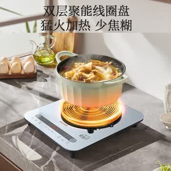 苏泊尔（SUPOR） 电磁炉电磁灶家用 2200W大功率大面板大线圈防辐降噪预约定时 C22-IA08 配汤锅【节日好礼】