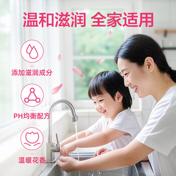 滴露(Dettol)洗手液滋润500g*6 抑菌洗手液家庭装大桶儿童消毒无酒精温和护手 滴露(Dettol)洗手液滋润500g*6 抑菌洗手液家庭装大桶儿童消毒无酒精温和护手