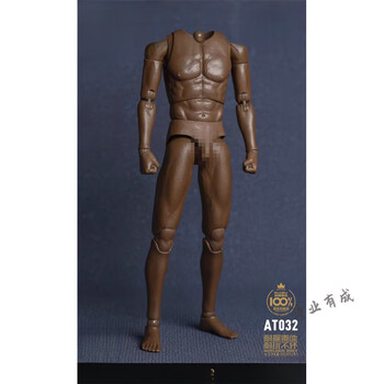 figma 人体模型 Amazon.com: FREEing 人體解剖模型Figma 可動人偶,多色: 玩具和遊戲