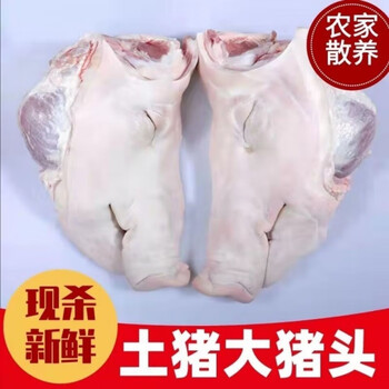 豬頭妹（pigyhead）价格报价行情- 京东