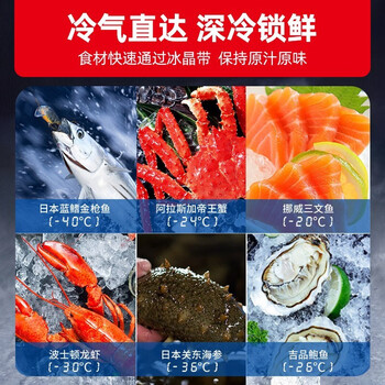 星星商用冷柜卧式大容量超低温零下-40度细胞级冷冻冷藏海鲜肉类冷冻柜 518ND丨低温-30℃丨一级能效