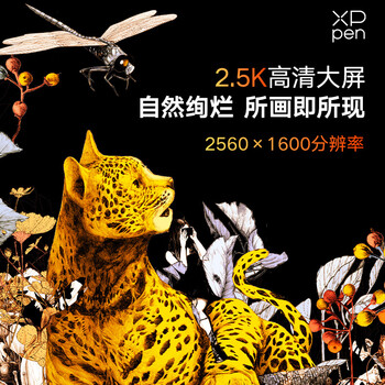 XPPen Artist Pro 16(Gen2) 数位屏 电脑绘画专业手绘屏 数位板 手写板连电脑画板手绘板绘画板