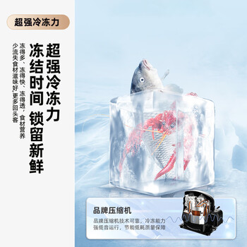 新飞(Frestec)183升两门二门节能环保低噪小型电冰箱速冻冷冻冷藏双开门冰箱家用租房BCD-183KT 新飞(Frestec)183升两门二门节能环保低噪小型电冰箱速冻冷冻冷藏双开门冰箱家用租房BCD-183KT