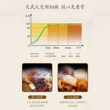 奥克斯（AUX）养生壶煎药壶中药锅中药壶熬药罐 4升分体式陶瓷烧水壶家用药膳煲
