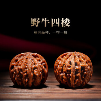 文玩堂：坐佛獅子頭（收藏级核桃） 文玩堂：坐佛獅子頭（收藏级核桃）