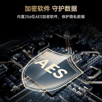 雷克沙（Lexar）U盘 USB3.2/Type-C双接口优盘手机电脑两用高速读写加密保护闪存盘 D40T 256G
