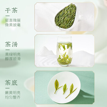 霍山黄茶黄茶大化坪金鸡山霍山黄芽一级250克2025年雨前纸包装	