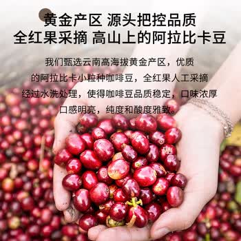 鹿家嘴云南小粒咖啡普洱咖啡豆美式/黑巧风味咖啡豆500g阿拉比卡豆