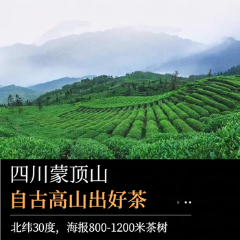 YizEnjoy四川茉莉红茶 大叶种红茶 浓香型茉莉花茶自己喝红茶蒙顶山80g