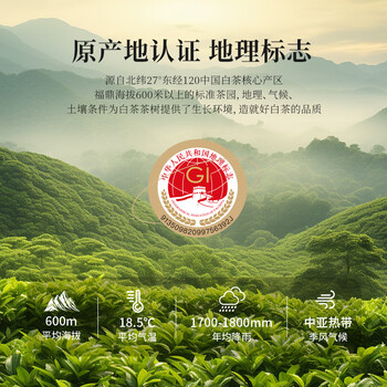七春茶叶礼盒 福鼎老白茶500g口粮贡眉21年散茶可泡陈皮送长辈元宵节