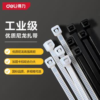 得力（deli）自锁式尼龙扎带阻燃理线带捆扎带 束线扎线绑带 白色100根/包