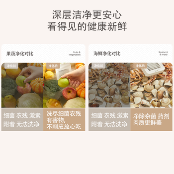 OIDIRE（偶点）果蔬清洗机 果蔬净化机洗菜机蔬菜清洗机食材净化机家用双仓有线洗菜机大容量 ODI-GSQX01