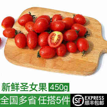 绿食者 圣女果450g 迷你小西红柿番茄酸甜可口 新鲜农家蔬菜水果