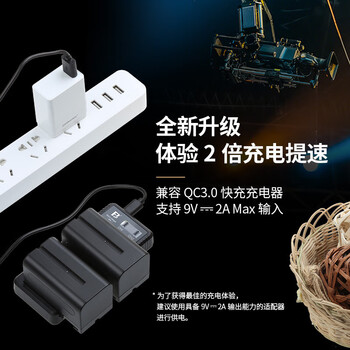 沣标（FB）NP-F970/F750/F550补光灯/监视器/无线图传/LED摄影灯专用锂电池NP-F系列快速座充充电器QC3.0快充