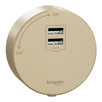 施耐德电气轨道插座/插线板/插排接线板可搭配金/黑轨道 2USB口适配器金色 施耐德电气轨道插座/插线板/插排接线板可搭配金/黑轨道 2USB口适配器金色