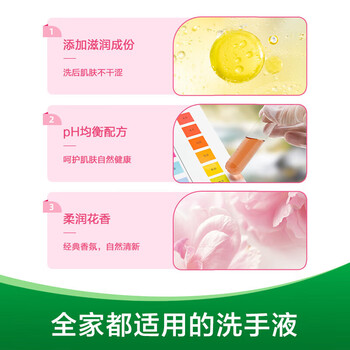 滴露洗手液【热销TOP】抑菌洗手液滋润倍护450克/袋清洁不伤手×4袋