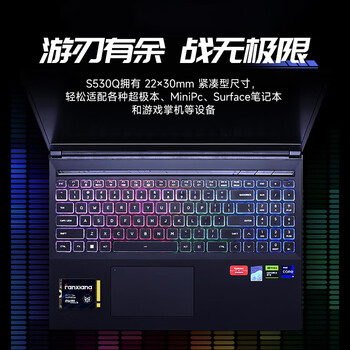 梵想（FANXIANG）500GB SSD固态硬盘 M.2接口NVMe协议PCIe3.0 2230小尺寸规格 电脑游戏机扩展硬盘S530Q