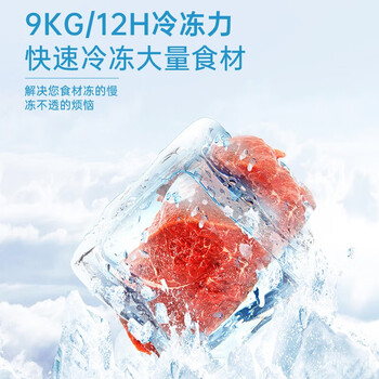 奥克斯冷柜.小型冷冻冷藏保鲜迷你商用卧式 节能省电储藏母乳 250升单温减霜节能