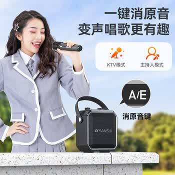 山水（SANSUI）D70户外k歌专用 广场舞音响大音量蓝牙音箱露营收款便携移动音响大功率音箱户外音响双麦乐器音箱