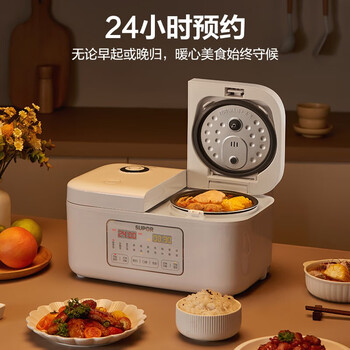 苏泊尔（SUPOR） 双胆电饭煲电饭锅家用不粘2+2L香甜饭煲仔饭多功能智能预约米饭锅 SF20TC601双胆双控 4L
