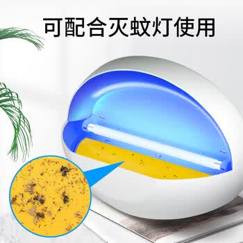 光多拉苍蝇贴灭蝇纸20张黄板诱虫板双面粘虫板果蝇诱捕器苍蝇神器灭蝇器