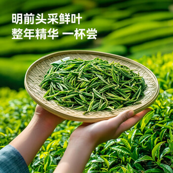 京东京造鲜来多26新茶明前特级雀舌200g绿茶竹叶茶叶青毛尖自己喝自营送礼