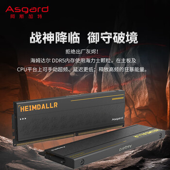阿斯加特(Asgard)32GB(16GBx2) DDR5 6400 台式机内存条 海姆达尔 马甲条 海力士M-die CL32 黑厚甲 阿斯加特(Asgard)32GB(16GBx2) DDR5 6400 台式机内存条 海姆达尔 马甲条 海力士M-die CL32 黑厚甲
