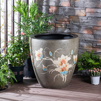 金鱼缸荷花品牌及商品- 京东