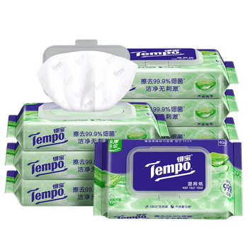 得宝（TEMPO）一博同款 芦荟湿厕纸 40片*6包 植萃精华 可冲散 湿纸巾 湿巾 