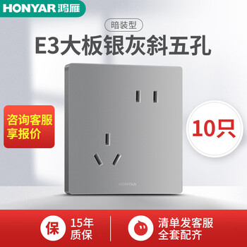 鸿雁86型开关插座面板家用墙壁式暗装五孔插座面板多孔套餐 10只装 拉丝金