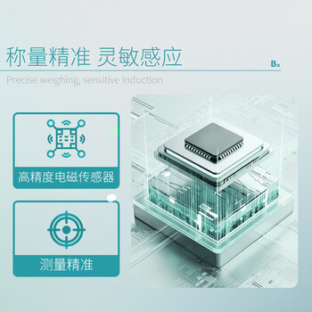 比克曼生物 电子分析天平实验室万分千分之一高精密度电子克秤带挡风罩砝码 【万分之一】量程220g精度0.1mg