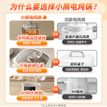 小熊（Bear）电炖锅 炖盅 隔水炖锅炖汤盅煲汤锅 燕窝炖盅婴儿煮粥神器 电炖盅蒸锅家用DDZ-J25G2