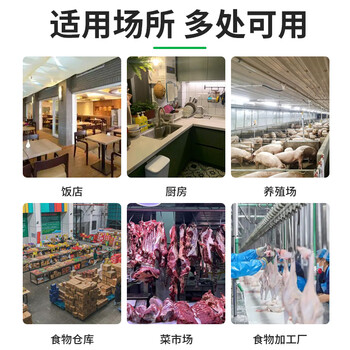 巨奇正金粘蝇彩带粘蝇板粘蝇条贴纸粘蝇子卷灭蝇药苍蝇纸苍蝇贴10个装